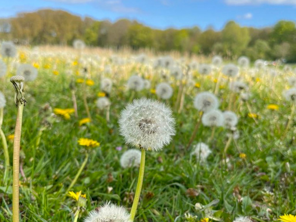 Uma Nova Jornada em&nbsp;Amsterdam